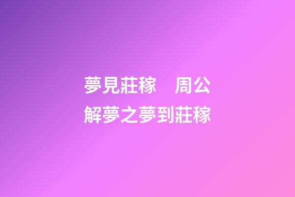 夢見莊稼　周公解夢之夢到莊稼